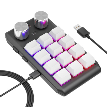 12 keys / 2 knobs Wireless Mechanical Macro Keypad