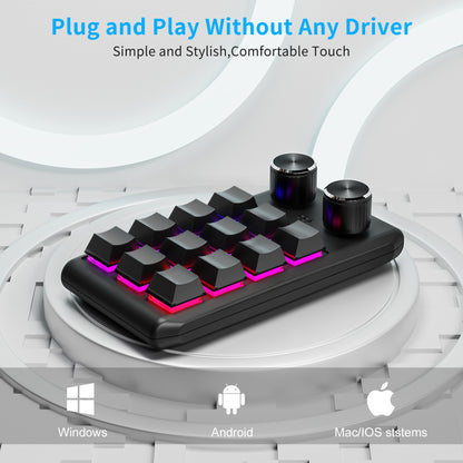 12 keys / 2 knobs Wireless Mechanical Macro Keypad